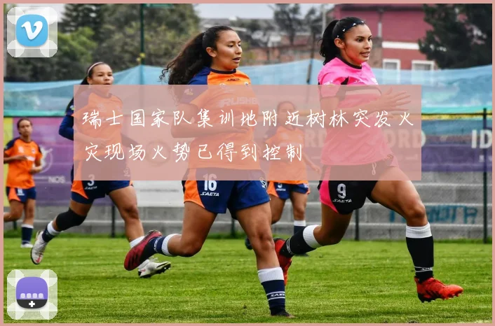 瑞士国家队集训地附近树林突发火灾现场火势已得到控制