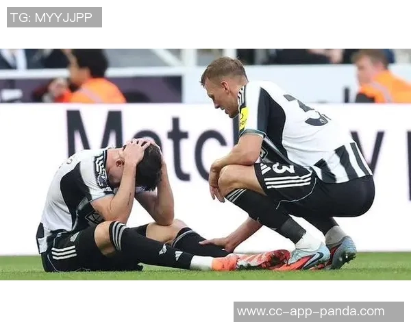 利夫拉门托谈伤缺阵两个月的沮丧与意外收获的积极心态 利夫拉门托谈伤缺阵两个月的沮丧与意外收获的积极心态